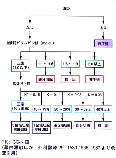 幕内基準の図