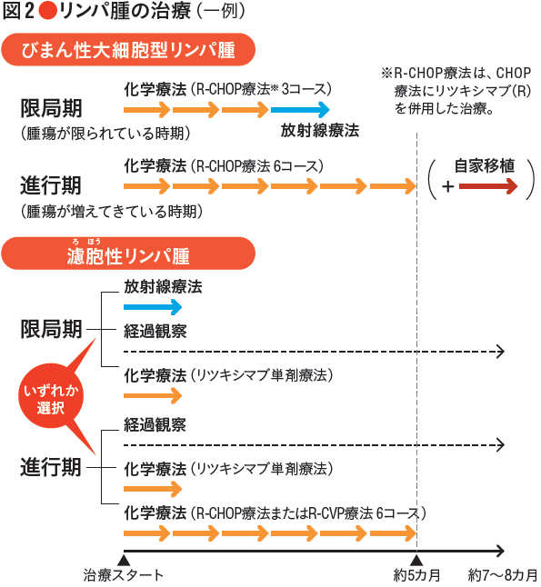 図2　リンパ腫の治療