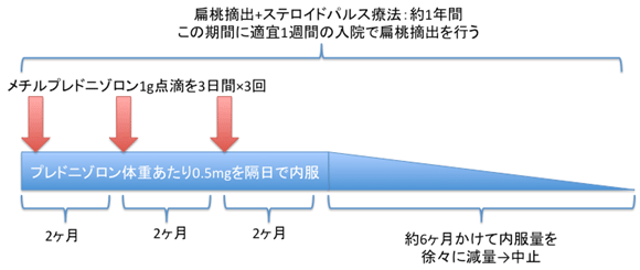 扁桃摘出+ステロイドパルス両方：約一年間