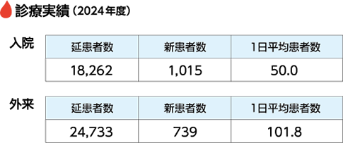 診療実績（2024年度）